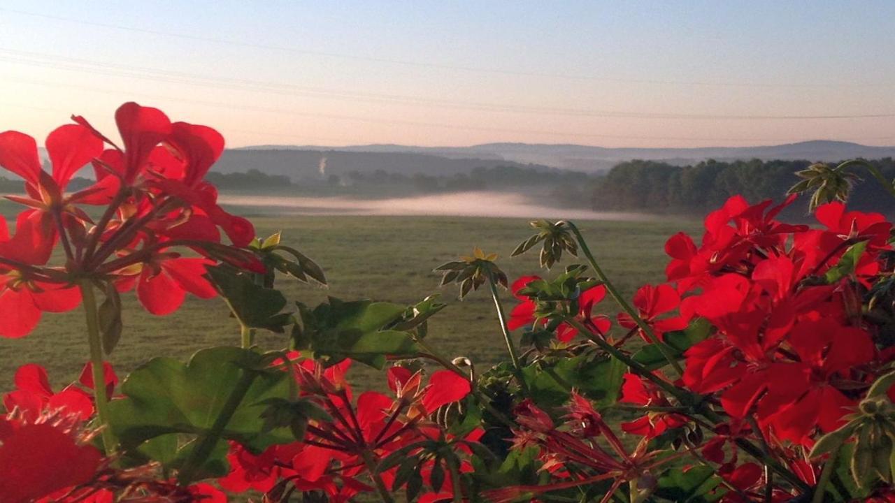 Waldhotel Dierdorf Kültér fotó