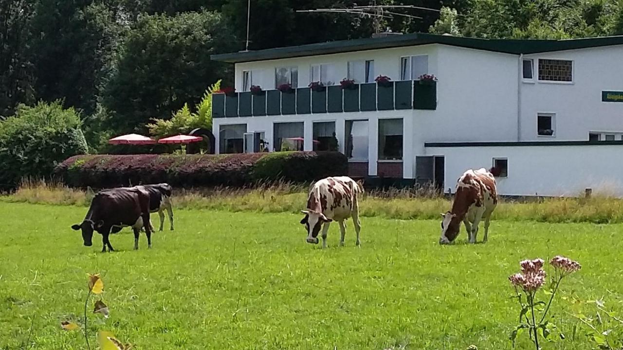 Waldhotel Dierdorf Kültér fotó